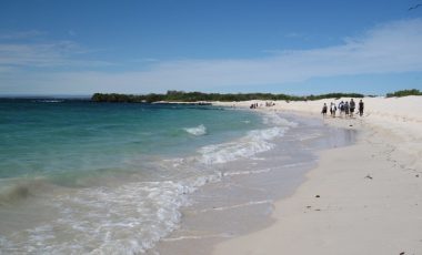 Galapagos-Tortuga-Bay